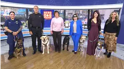 TODAY Reveals 2025 American Humane Society Hero Dog!