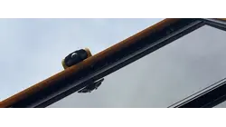 Westchester school bus camera program reduces illegal passing by nearly 24%