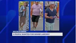 NYPD searching for 3 accused of stealing $1,800 from Bed-Stuy Home Depot