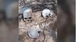 Hallan ocho cráneos y restos de al menos 14 personas en Tamaulipas, México