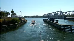 How To Rent A Chartered Yacht And Grilled Florida Cobia