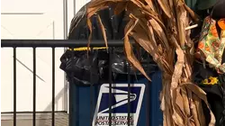 2 men accused of trying to steal from mailbox in NJ