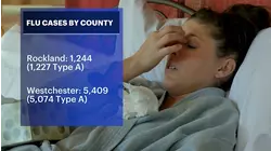 Flu cases are surging in New York. Here's how it's impacting Rockland County