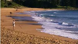 Whale Beach, New South Wales, Australia featuring Marc Antoine , Brian Simpson , Acoustic Alchemy