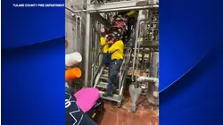 Man rescued after falling 20 feet at an industrial facility near Pixley, officials say
