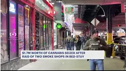 Authorities seize $1.7 million worth of cannabis products in Bed-Stuy