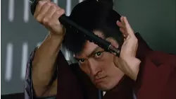 Volunteering for prison