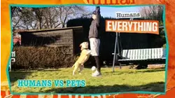 Humans vs. Their Pets