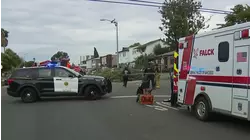 Una enorme rama de un árbol se parte y mata a una persona en California