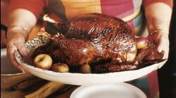 All About Chicken