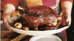All About Chicken