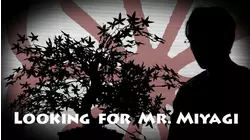 Looking for Mr. Miyagi