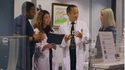 The Journey to Sight