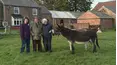 The Yorkshire Vet