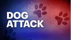 Woman charged after wrong dog may have been euthanized following attack, police say