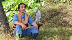 Voices of Nature