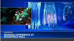 Diane Pathieu's Weekender Report