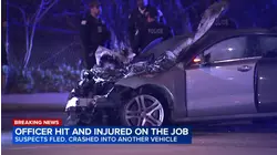 CPD officer hit by vehicle on South Side: sources