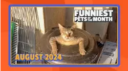 Ep. 1.9
