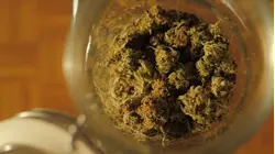 US to reclassify medical marijuana