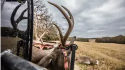 Father & Son Hunt at FE Hill Ranch