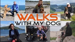 Walks With My Dog