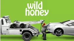Wild Honey