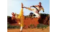 Shaolin vs Lama