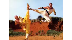 Shaolin vs Lama