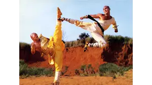 Shaolin vs Lama