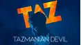Tazmanian Devil