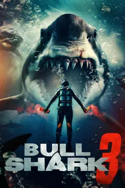 Bull Shark 3