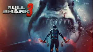 Bull Shark 3