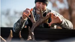 Arkansas Whitetail