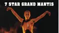 7 Star Grand Mantis