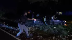 Multiple K9 Pursuits