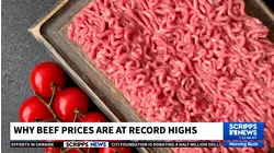 Why beef prices are at record highs