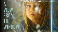 A View From The Window