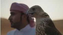 Qasr Al Sarab (United Arab Emirates)