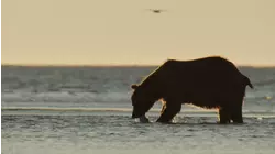 So Long and Thanks for All the Fish