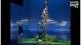 The Johnny Carson Show