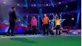 Superstar Dogs