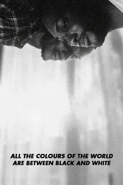 All the Colors of the World are between White and Black