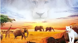 White Lion