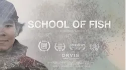 School of Fish