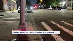 Two teens attacked with a scalpel in Fordham