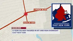 6-year-old struck by hit-and-run driver in East New York