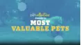 The Pet Collective Specials