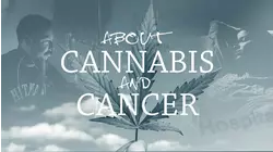 About Cannabis and Cancer