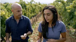 Naples and the Amalfi Coast